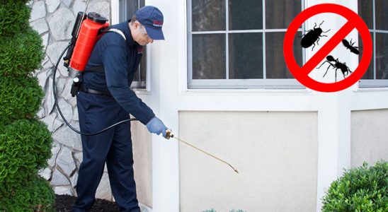 Şuhut Gümüşkurt İlaçlama böcek ilaçlama ve haşere kontrolü — ilaclama-tr.com